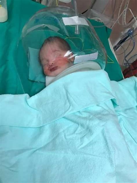Mesej tular dakwa situasi di hospital di ipoh membimbangkan tak benar. (5 Foto) Bayi Baru Lahir Ditemui Dalam Semak Belakang ...