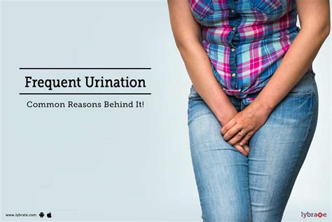 Causes Of Frequent Urination Problems In Men Blog Jennystores Hot Sex