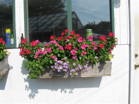Enhance the window box's look by mixing trailing, flowering annuals with upright varieties. Full Sun Window Box | I love Flowers | Pinterest