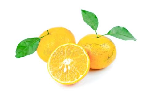 Orange Fruits Sliced With Copy Space On Isolated White Background Stock