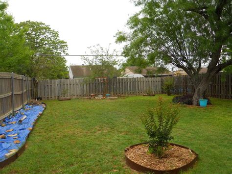 Here's how to pick between wood chips, grass clippings, straw, and landscape fabrics based on where you're putting mulch. Texas Gardening forum: Hugelkultur Beds around tree and ...