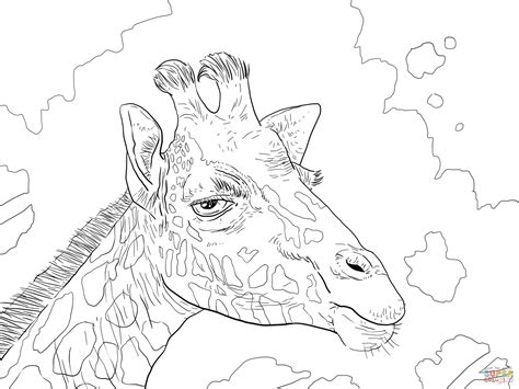 Giraffe Coloring Pages Hard