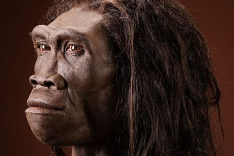 Los últimos Homo erectus vivieron hace unos mil años La Tercera