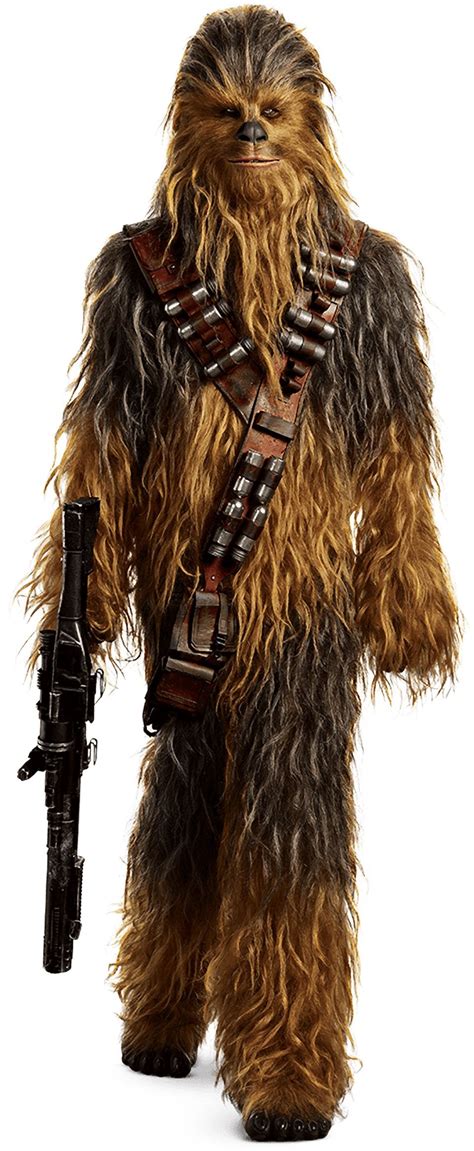 Chewbacca Age 190 From Tbe Solo Movie Vader Star Wars Star Wars Rpg