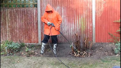 Digging Out The Bush Roots With A Pressure Washer Youtube