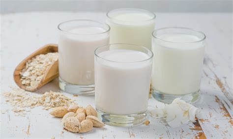 Nutrition Non Dairy Milk F19 Shopping Monster Blog