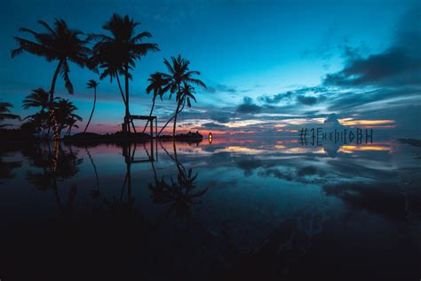Wallpaper Palm Trees Sunset Ocean Evening Tropics Hd