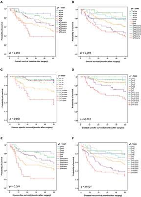The tnm classification offers a reliable method for estimating the prognosis. Frontiers | Comparison of the 7th and 8th Edition of the ...