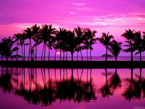 Purple Beach Sunset Wallpapers Top Free Purple Beach