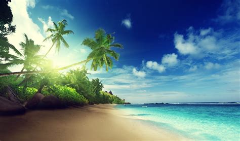 Banco De Im Genes Fotos De Playas Tropicales Con Agua Cristalina Sol Palmeras Y Arenas