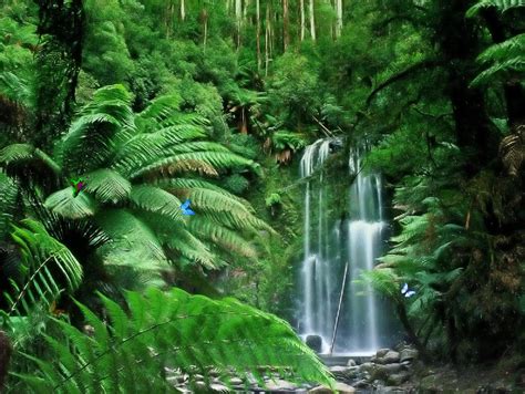Wonderful Tropical Waterfall Dream Screensaver