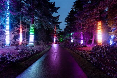 Chicago Botanic Gardens Enchanting Lightscape Event Has Opened For