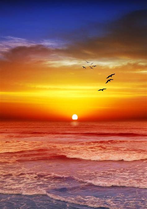 1275 Best Sunsets Over Water Mainly Images On Pinterest