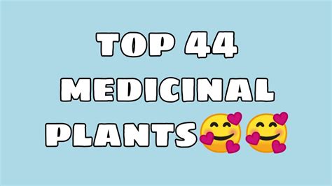 Top 44 Medicinal Plants And Fruits Here In The