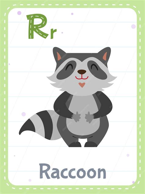 Free Vector Alphabet Printable Flashcard With Letter R And Raccoon Animal
