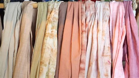 P.k.laxmi mill india pvt., ltd. The Magic of Natural Dyes | My Green Closet (With images ...