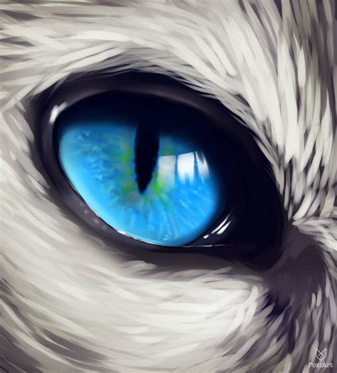 Cat Eye Sketch By Foxiart On Deviantart