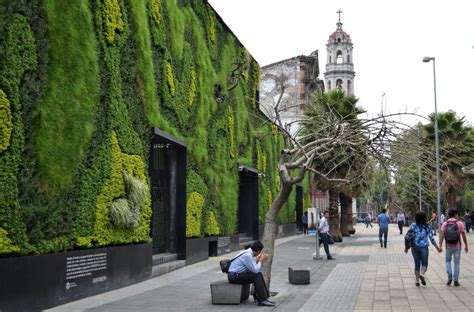 Estas Son Las Zonas Peatonales M S Bellas De La Ciudad De M Xico