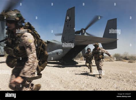 Us Marines Assigned To Tactical Air Control Party Department Marine