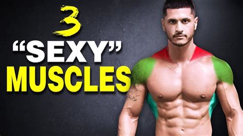 These 3 Muscles Make You Look Bigger And More Attractive Youtube