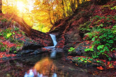 Golden Autumn Landscape Mountain Creek With Small Waterfall In The