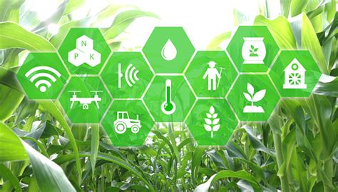 Iot Internet Of Things Agriculture Concept Smart Robotic Use For