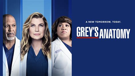 grey s anatomy maxinneerma