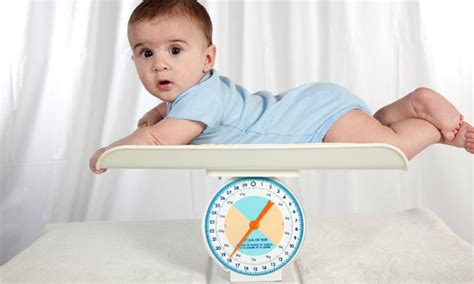 Check spelling or type a new query. Obese babies placed on weight-loss programs - Kidspot