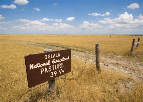 Oglala National Grassland Pine Ridge Reservation Badlands Wildlife