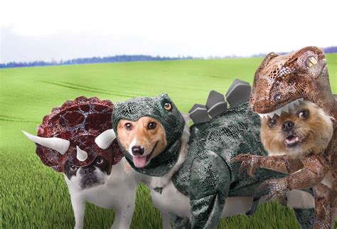 Animal Planet Dinosaur Dog Costumes Noveltystreet