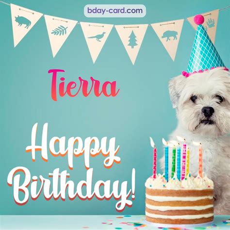 Birthday Images For Tierra 💐 — Free Happy Bday Pictures And Photos