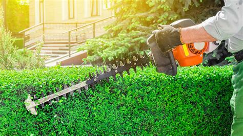 How To Assess A Lawn Care Service Consumer Reports