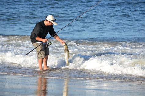 Surfland Bait And Tackle Plum Island Fishing Dsc