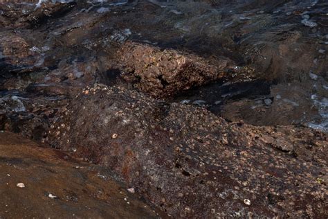 Fotoğraf Kaya plaj deniz kahverengi Jeoloji Jeolojik olay toprak Su formasyon Ana