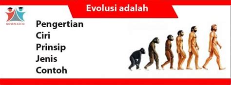 Evolusi Menurut Para Ahli Pakdosen Co Id