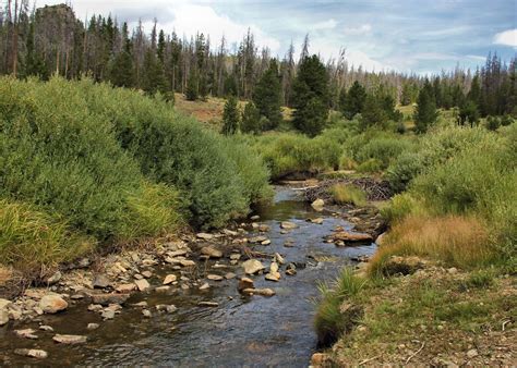 Easily compare campgrounds and share your best camping sites. Elevation of Douglas Creek Campground, Laramie, WY, United ...