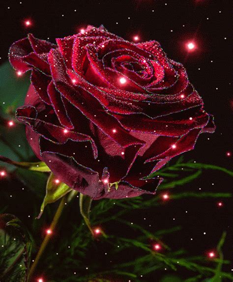 Анимированное фото Beautiful Roses Rose Flower Wallpaper Beautiful