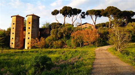 Speedball roma club via ardeatina, 931 tel. PUNCH | The Feud Over Italy's Most Mysterious Wine Estate