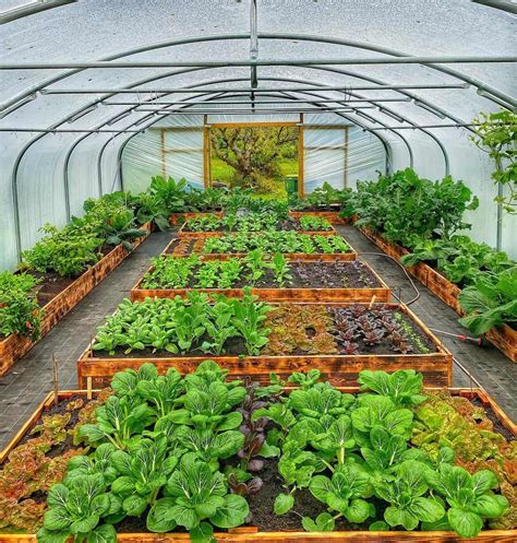 How To Build A Greenhouse Planter Box Plans Ideas