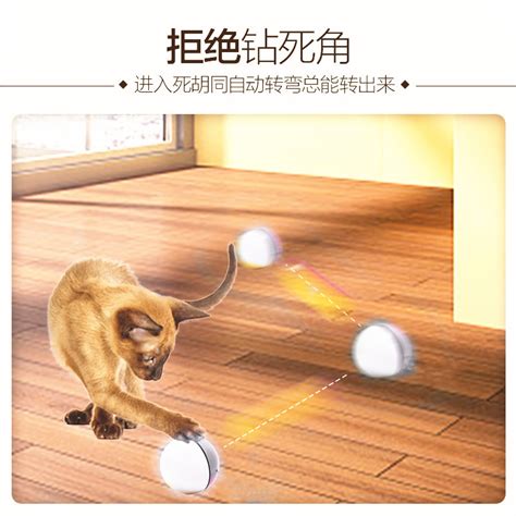 宠物无线遥控电动智能滚动猫咪玩具球猫用品逗猫玩具球 阿里巴巴