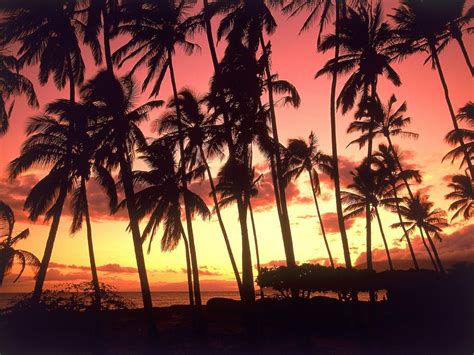 60 tropical hawaiian sunset wallpapers download at wallpaperbro hawaiian music hawaiian