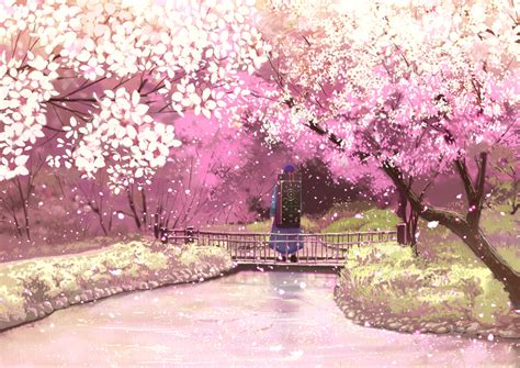 Scenery Anime Cherry Blossom Tree