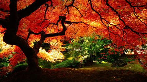 10 Top Images Of Fall Scenery Full Hd 1080p For Pc Background 2020