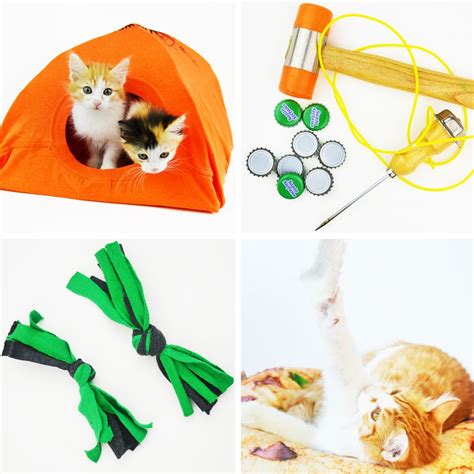 Make These 8 Super Easy Homemade Recycled Cat Toys In Less Than 5