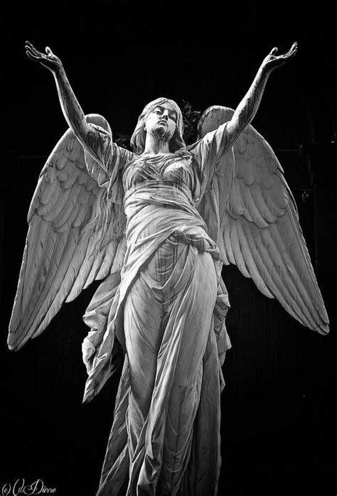 Angel Angel Sculpture Art Angel Statues Sculpture Angel Sculpture