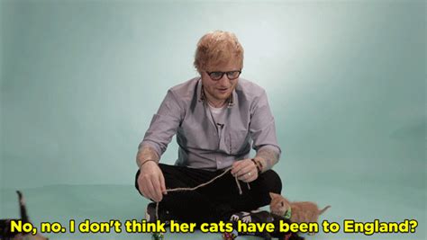 15 things ed sheeran revealed while playing with kittens and answering your fan questions