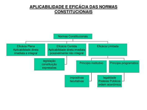 Eficácia E Aplicabilidade Das Normas Constitucionais