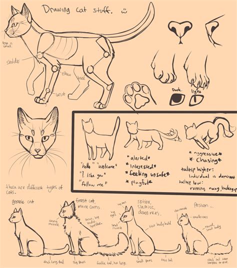 Drawing Cats By Neko Maya On Deviantart Cat Drawing Tutorial Cat