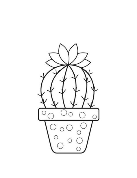 Cactus En Maceta B Sico Para Colorear Imprimir E Dibujar Dibujos Colorear Com