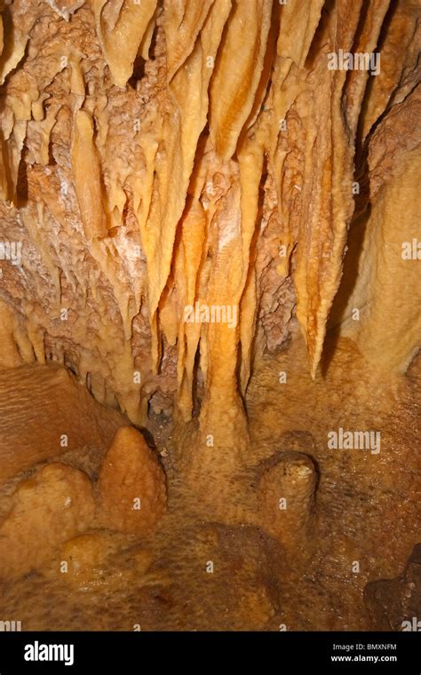 Variety Of Speleothem Called Drapery Or Cave Bacon At Ngilgi Cave A